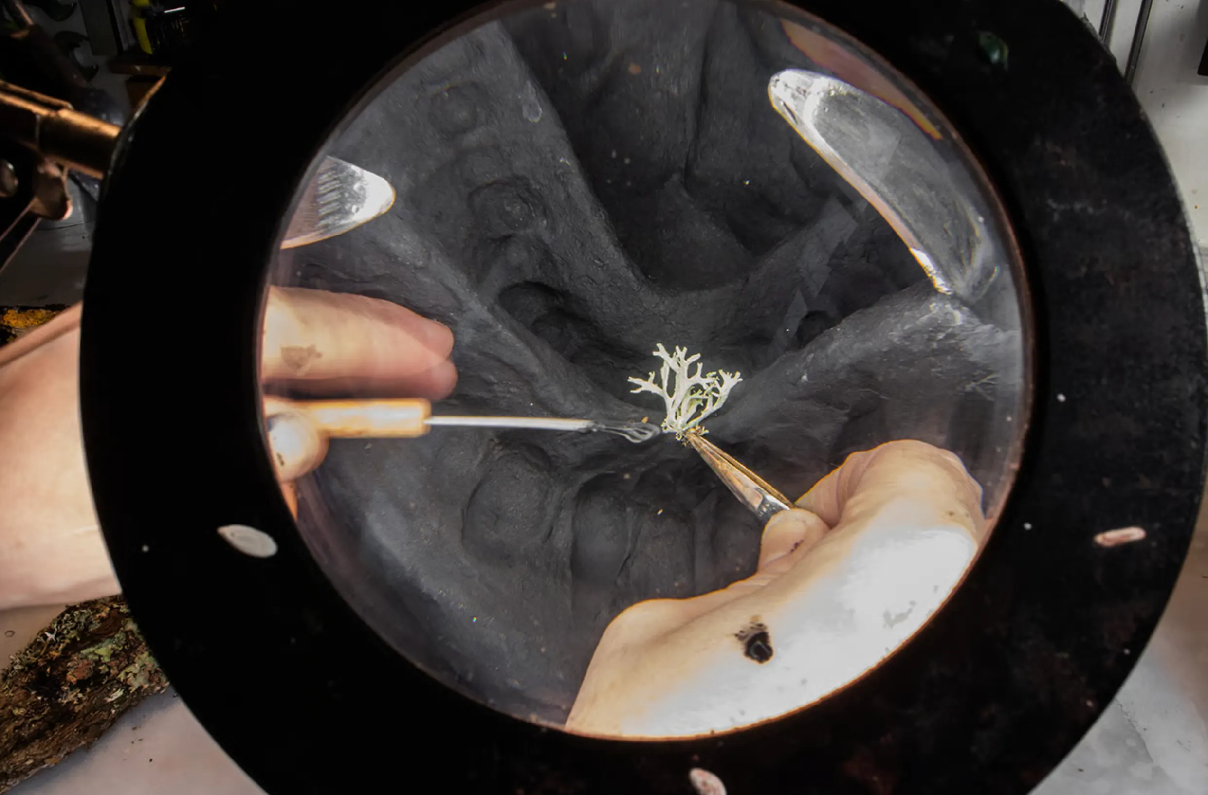 journal thumbnail image